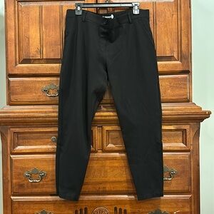 Betabrand Classic Skinny Work Pant Size Petite XL XLP